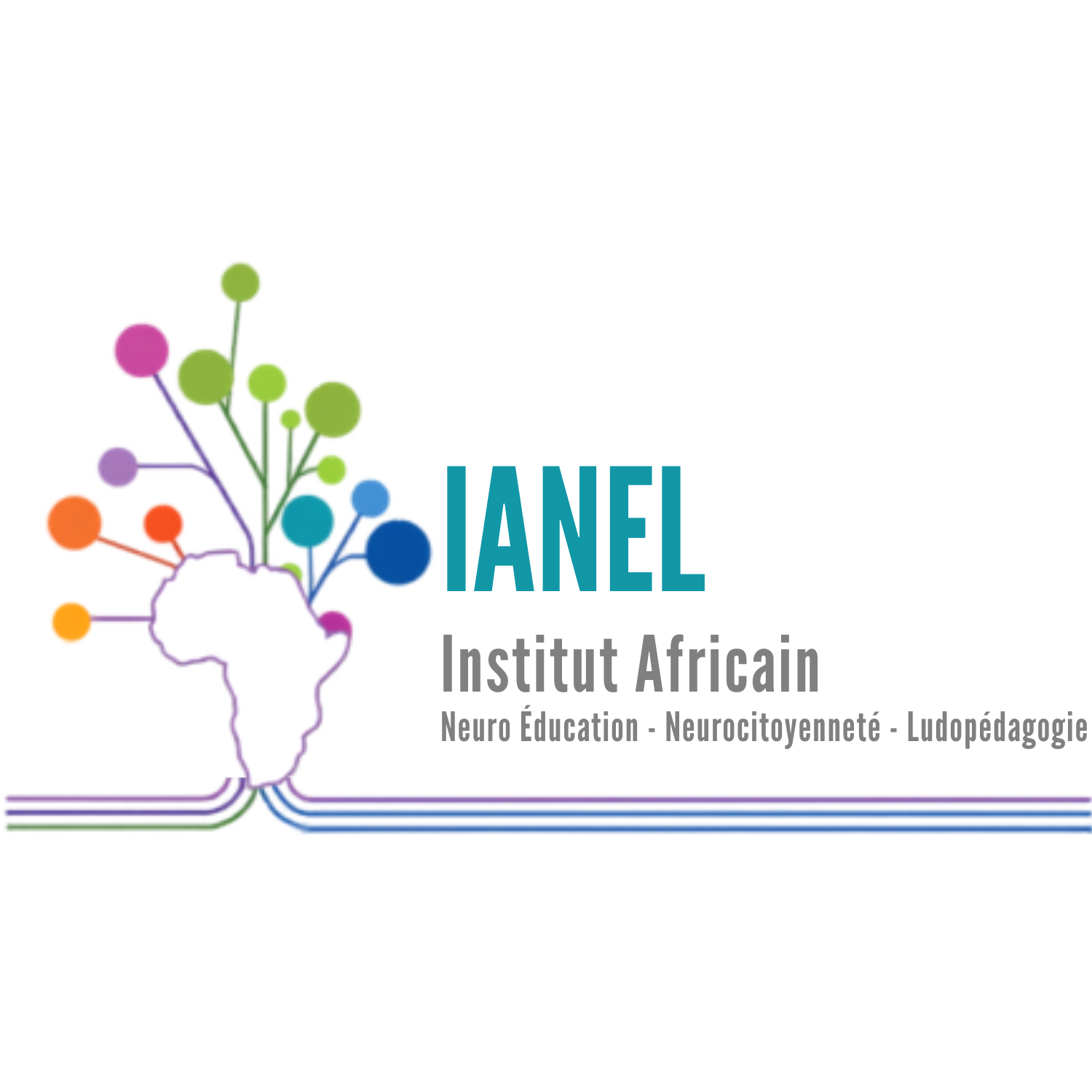 Logo IANEL